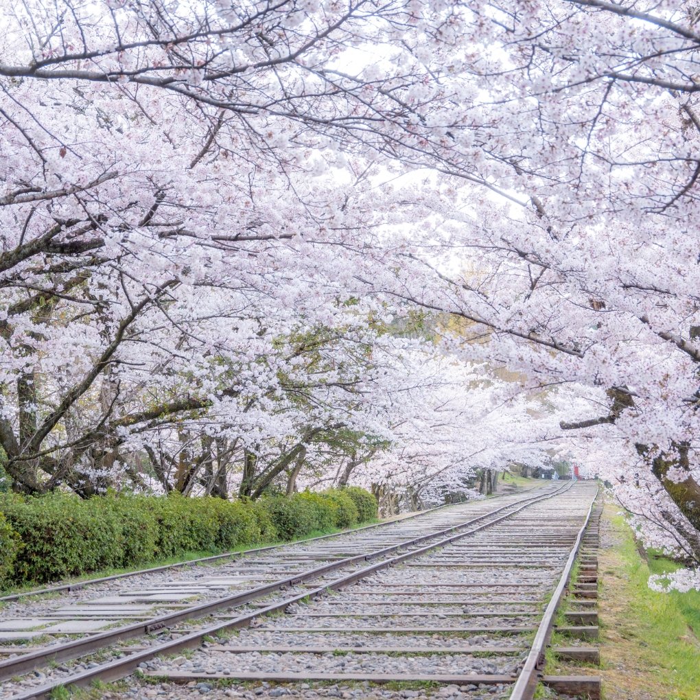 🌸 케아게 인클라인 이미지 1